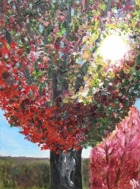 Autumn Tree
